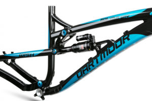 Dartmoor Wish ram-20176